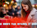 До Нового года осталось 27 дней