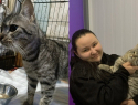 Кот, которого бросили на морозе в Шахтах, нашел любящую семью