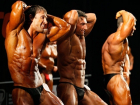 Открытый чемпионат и первенство Каменоломни по бодибилдингу и фитнесу 2018 пройдет под Шахтами