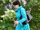 Бабушка сказала, что полезно: шахтинцы массово рвут сирень