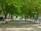 В Шахтах закрывают Александровский парк