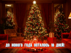 До нового года осталось 10 дней 