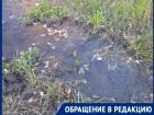Денежные реки водоканала заливают лесопосадку на Новостройке в Шахтах: жители поселка требуют разобраться
