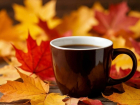 На неделе в Шахтах будет теплая и солнечная погода