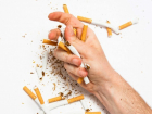 Дело – табак: вблизи образовательных учреждений нельзя торговать спиртным и сигаретами