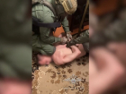 Подозреваемого в убийстве ребенка, совершенного 31 год назад, арестовали в Шахтах