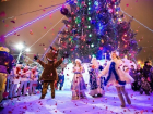 Новогодние и рождественские представления пройдут в Шахтах