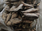 Нелегальный цех по переработке рыбы «накрыли» в Шахтах 