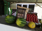 Цены на овощи рухнули в Шахтах: хороший урожай и большая конкуренция