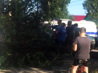 В Шахтах спасатели освободили автомобиль из-под поваленного ливнем дерева 