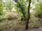 Соцгородок в Шахтах утопает в мусоре