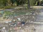 Шахтинцы задыхаются от грязи и запаха на улице 50 лет ВЛКСМ