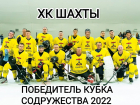 Кубок содружества и золотые медали привезли шахтинские хоккеисты из Аксая