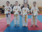 Каратисты спортивной школы № 5 победили в открытом турнире города Шахты