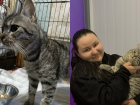 Кот, которого бросили на морозе в Шахтах, нашел любящую семью