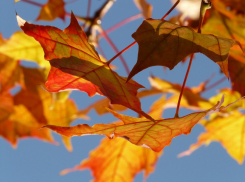 Плюс восемь днем и солнце по утрам: какая погода ждет шахтинцев в выходные