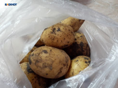 Скоро шахтинские дачники смогут торговать своей продукцией с машин
