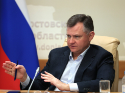 В донском правительстве стали использовать новую информационно-аналитическую систему