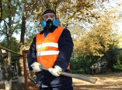 Шахтинские ветврачи получат новую яркую униформу