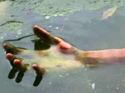 В Шахтах на пруду поселка ХБК утонул 60-летний мужчина