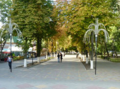 Шахтинский парк повторно обработают от клещей