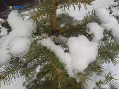 Днем будет ясно