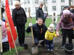 Шахтинские врачи высадили аллею деревьев