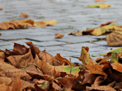 Осадки маловероятны, но будет облачно