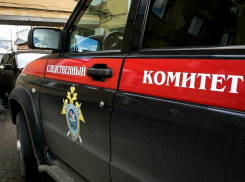 Без вести пропавшую жительницу Шахт нашли жестоко убитой в лесополосе 