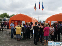 Японский режиссер снимет фильм об украинских беженцах