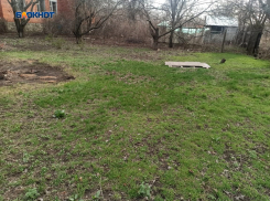 Еще 25 шахтинских семей добились, чтобы власти провели коммуникации к земельным участкам 