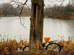 «Остывшее эхо ушедшего лета»: погода в Шахтах 