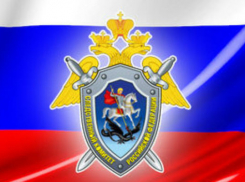 Рядом с Шахтами, в городе Каменск-Шахтинский мужчина совращал девочку-подростка