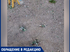 Мальчик поранил руку на детской площадке в поселке Аютинский в Шахтах