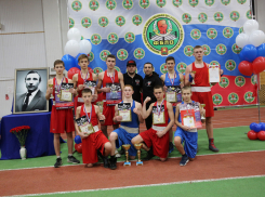 Шесть золотых медалей привезли шахтинские боксеры с соревнований в Липецке