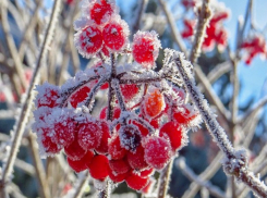 Зима в пути? Погода в Шахтах и примета дня