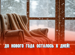 До Нового года осталось 6 дней