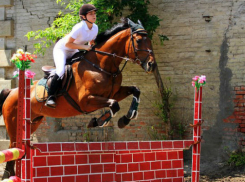 Арина Раджабова из Шахт победила на областных соревнованиях по конкуру