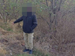 В Шахтах люди пожаловались на мужчину, занимающегося культивацией конопли 