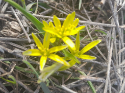 Погода – в плюсе: во вторник небольшой дождик и переменная облачность