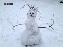К ночи прогнозируется похолодание до -10°C