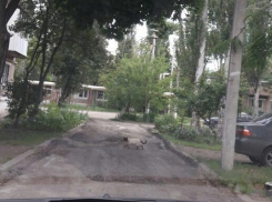 После публикации в «Блокноте Шахты» в поселке Таловый  сделали дорогу