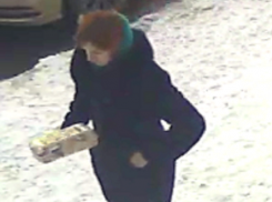 Разыскивают рыжеволосую даму, выкинувшую в мусорку мертвого младенца под Шахтами