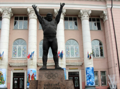 Первенство и чемпионат Ростовской области посвятят легендарному Василию Алексееву