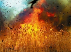 Под Шахтами 31-летний мужчина поджег пшеничное поле