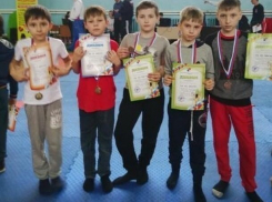 Восемь медалей завоевали на своих первых соревнованиях маленькие кикбоксеры из Шахт