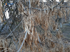 Временами будет выглядывать солнце, возможны и осадки