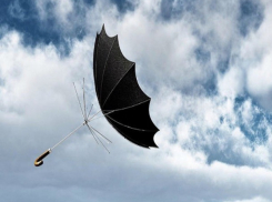 Штормовое предупреждение объявлено в Ростовской области из-за усиления ветра