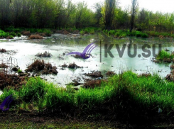 Канализационное поле в 150 м образовалось в Шахтах