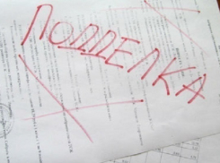 В Шахтах амнистировали следователя, которая сфальсифицировала дело о кражах